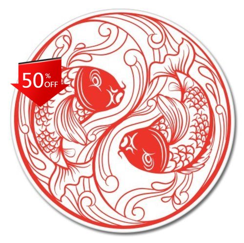 Koi Fish Yin Yang Accessorio U - Laptop Unique Accessories recensione e prezzo